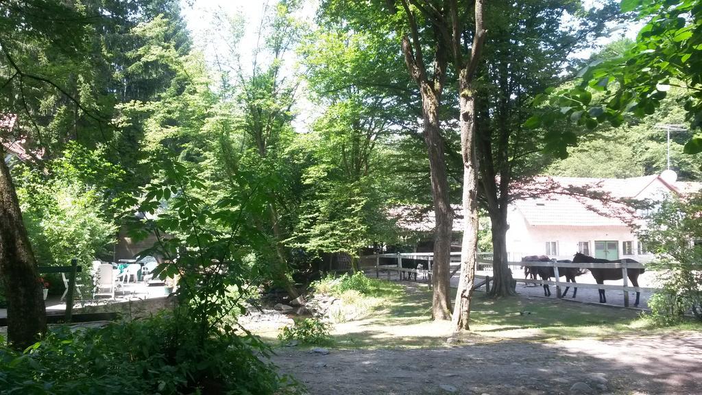 Mathias Lovasudvar Kemence Exterior photo